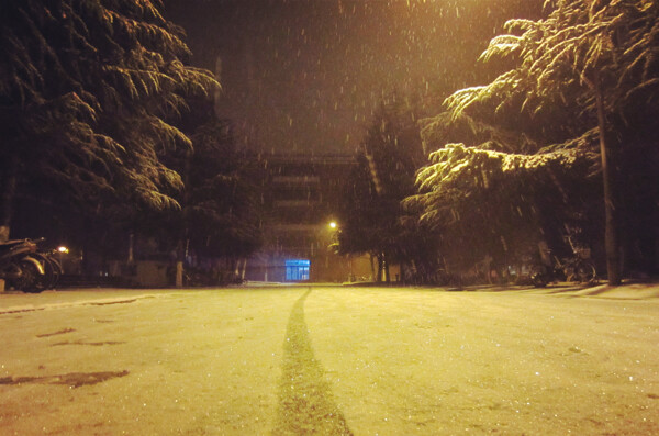 静谧的雪夜图片