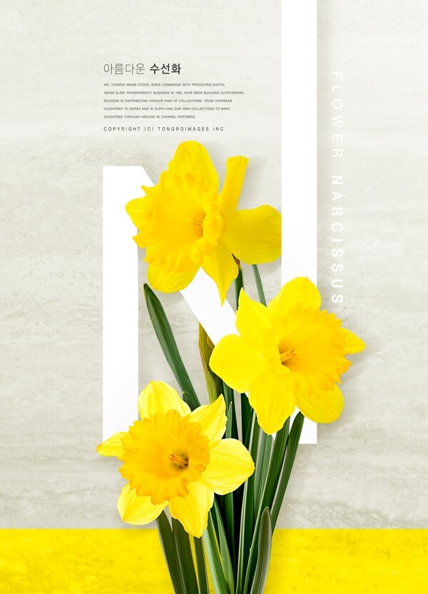 韩系黄色鲜花海报设计