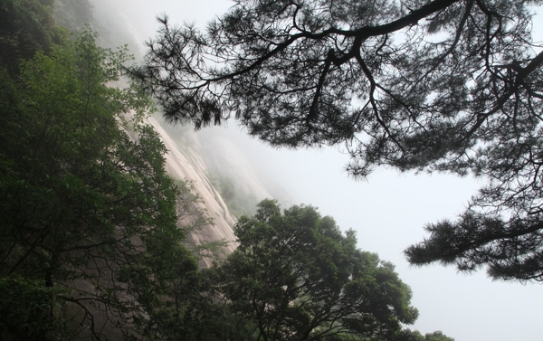 黄山风光图片