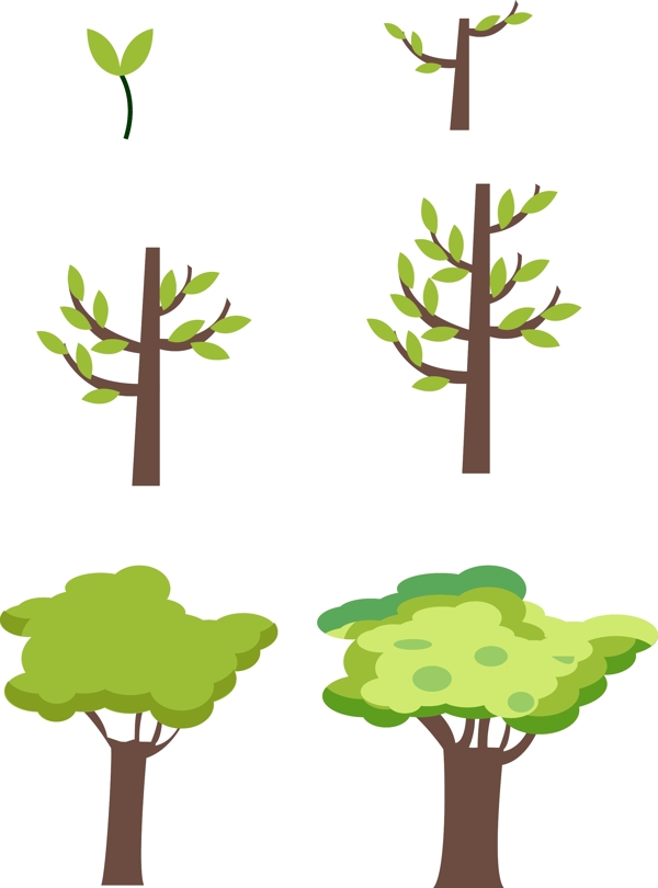 矢量简约可爱树木生长过程