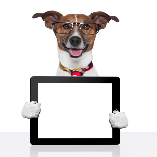 手拿平板电脑的小狗图片