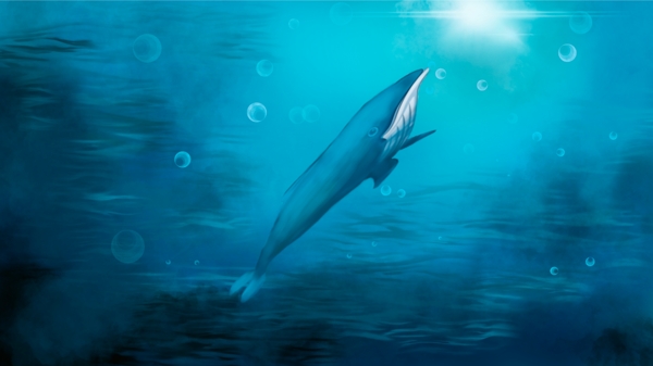 治愈系深海鲸鱼海草