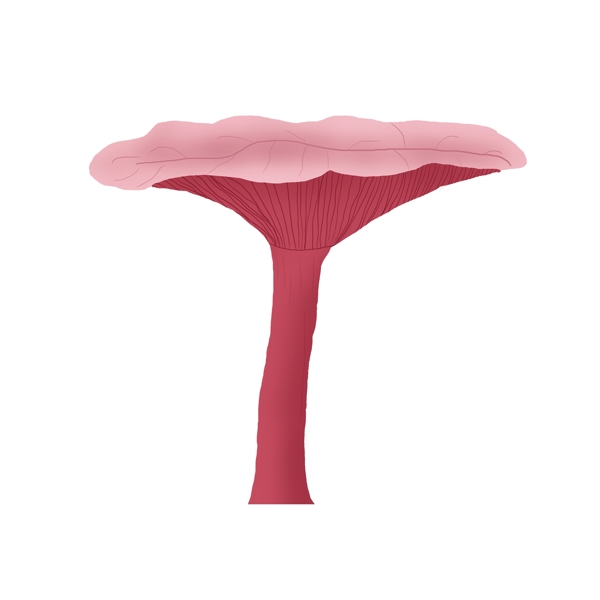 手绘一个蘑菇插画设计