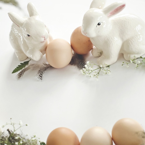 小兔子围绕鸡蛋jpg背景素材