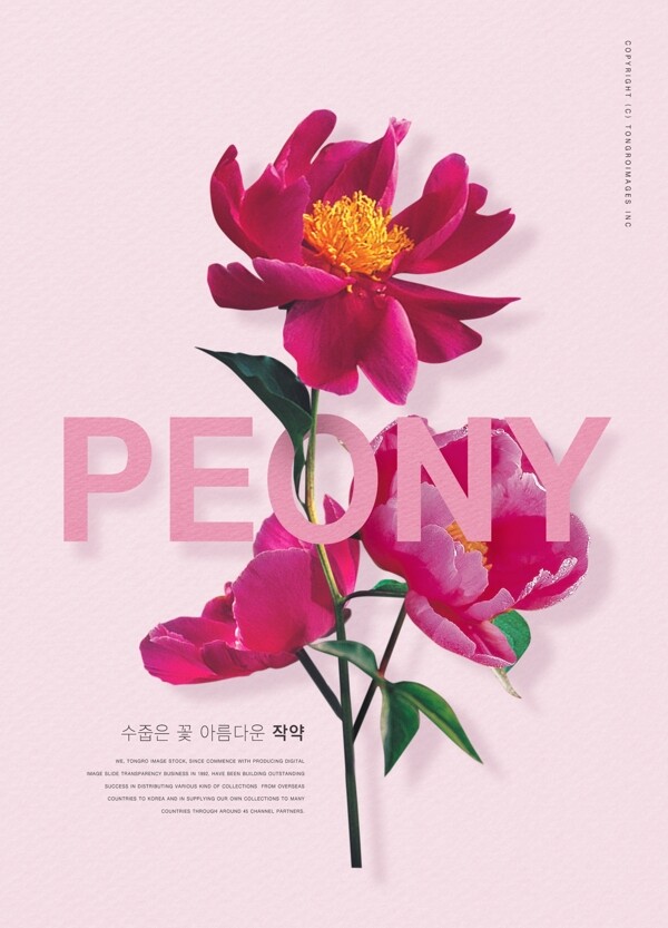 粉色韩系红花促销海报设计