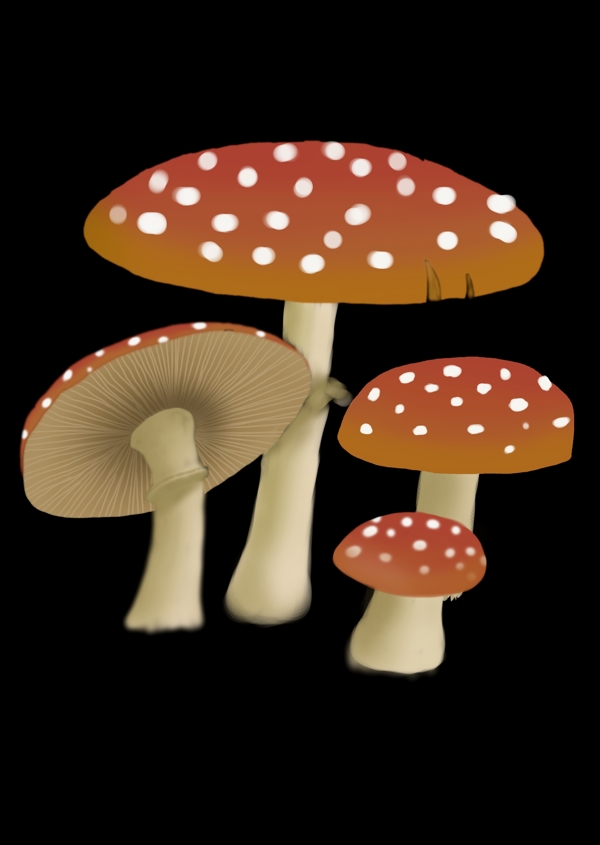 手绘森系蘑菇