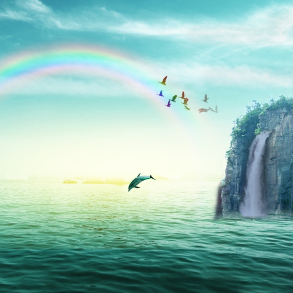 海水海鸥海豚山彩虹素材