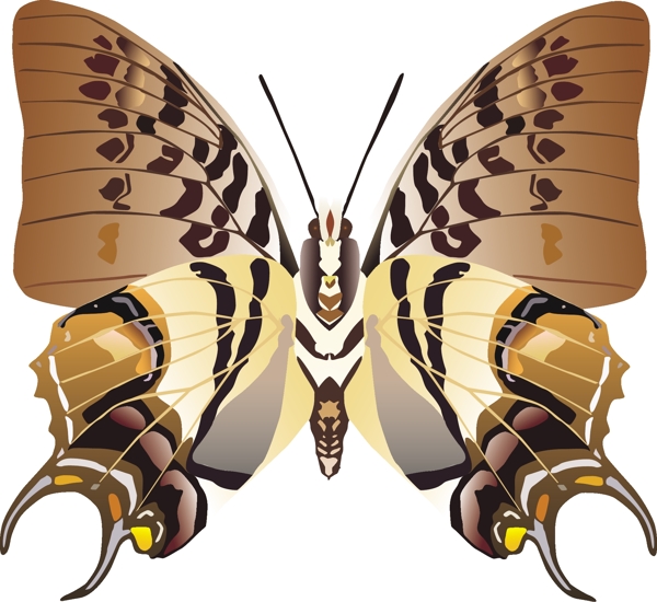印花矢量图动物蝴蝶色彩棕色免费素材