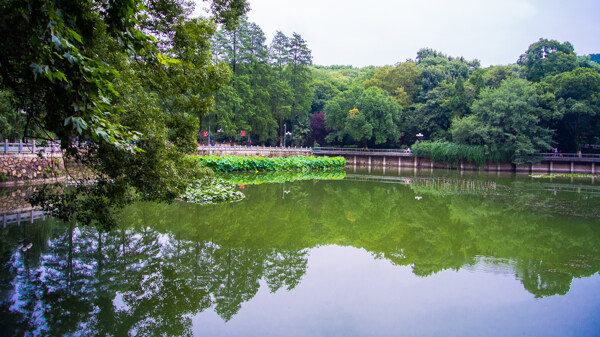 武汉大学图片