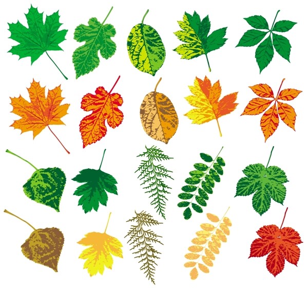 多款色彩缤纷的树叶矢量素材