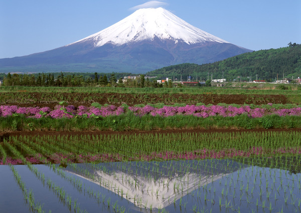 富士山图片