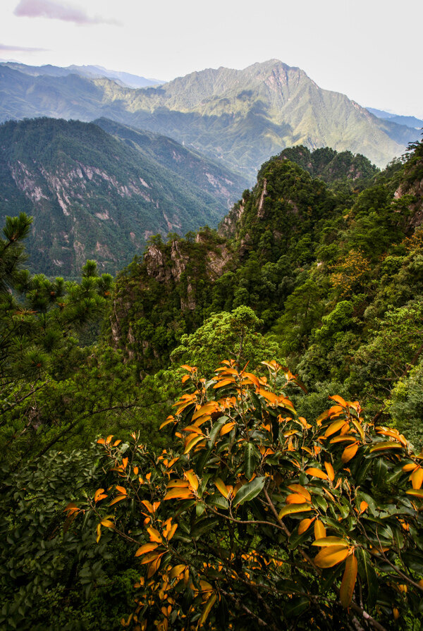 井岗山笔架山图片