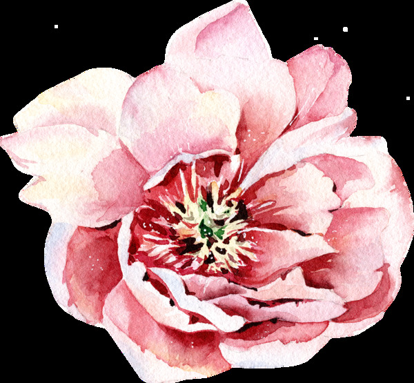 粉色水彩手绘花朵透明素材