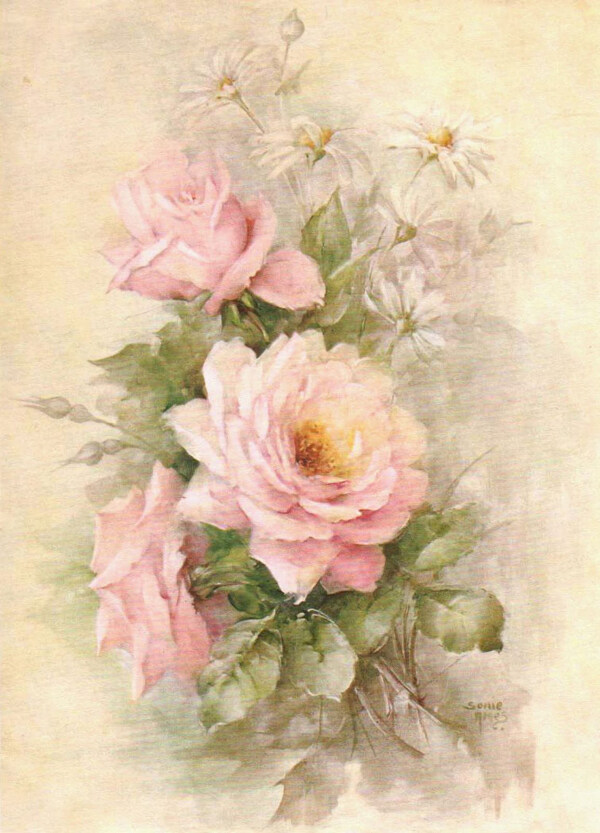 复古粉色玫瑰花图片