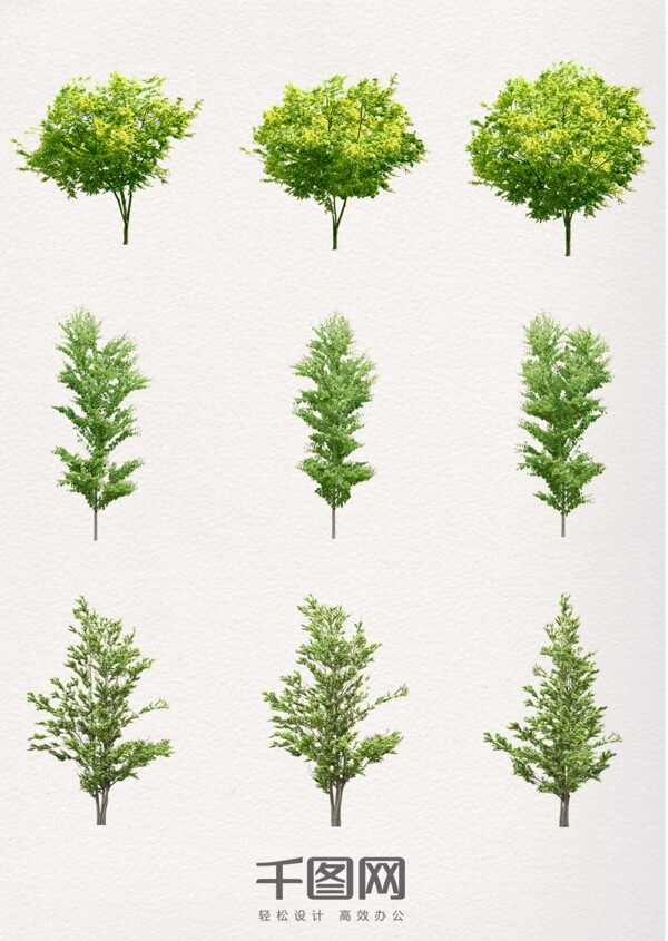 植物绿色树木素材