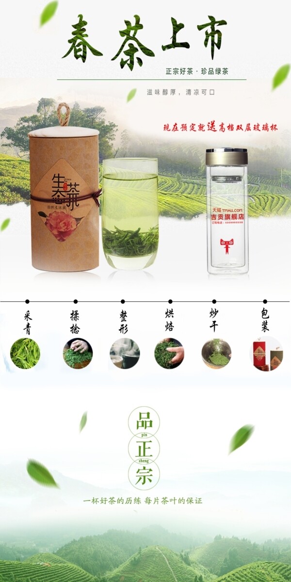 cvinner绿茶贡品茶详情页设计