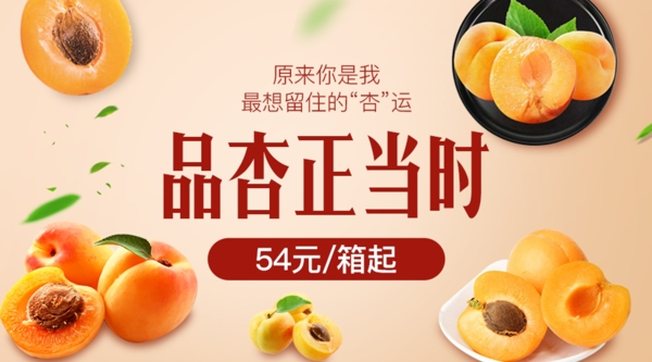 品杏正当时美食宣传banner