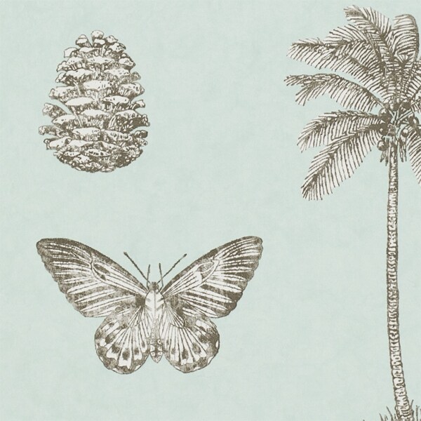 浅蓝色椰树蝴蝶松籽壁纸