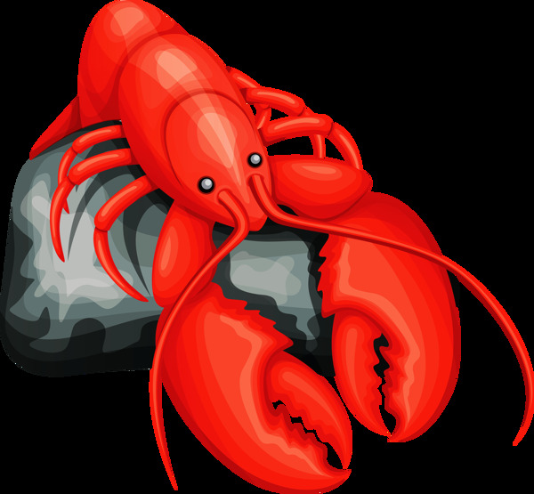 红色龙虾免抠png透明图层素材