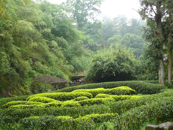 武夷山风光图片