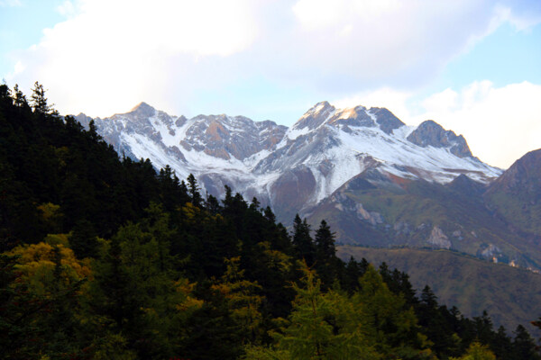 树林雪山风景图片