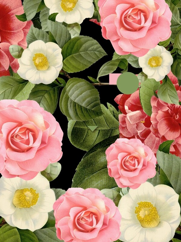 欧式花纹花边数码印花面图片