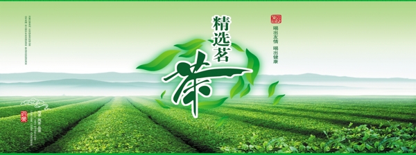 茶叶广告模板