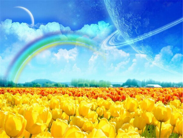 创意彩虹花卉背景图
