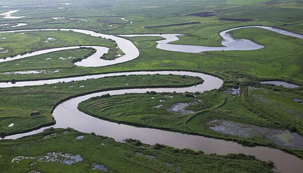 挠力河自然保护区图片