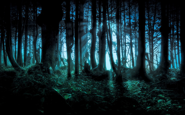 幽暗森林图片