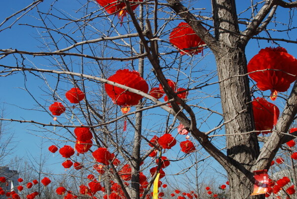 中国新年红灯笼