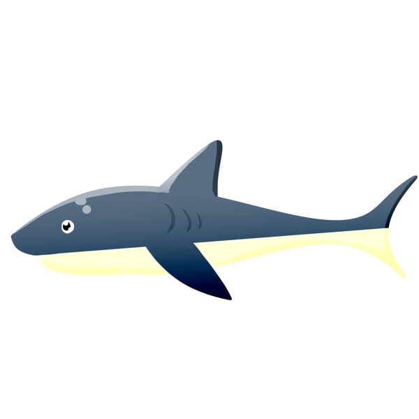鲨鱼海洋动物