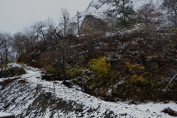 泗沟的初雪图片