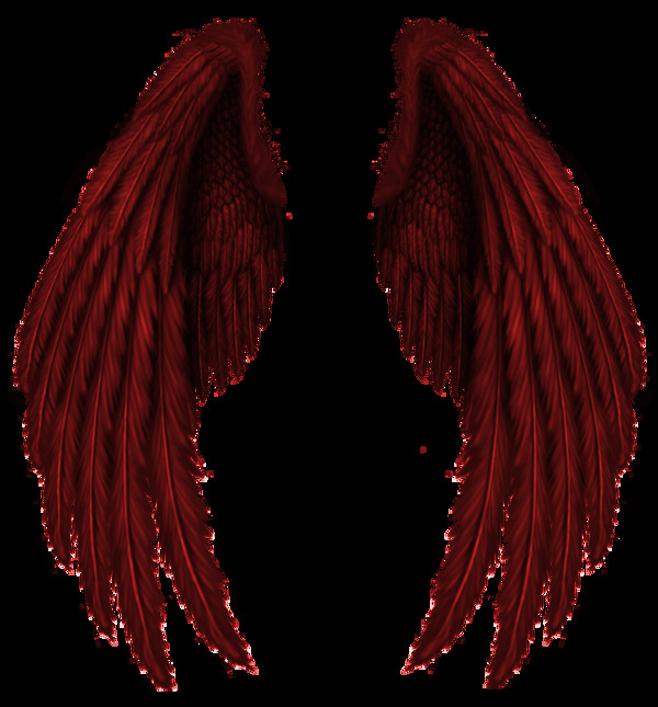 红色羽毛翅膀免抠png透明图层素材
