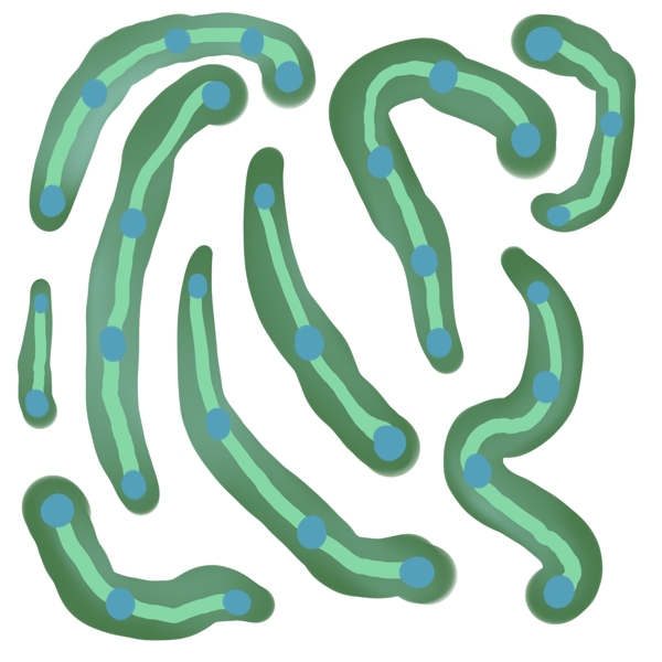 绿色条状细菌插画