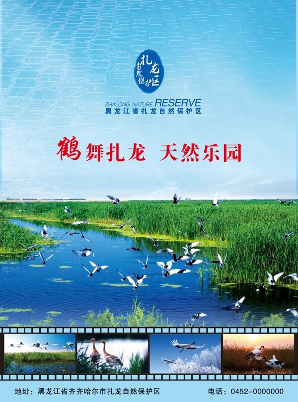 鹤舞扎龙湿地环保海报图片
