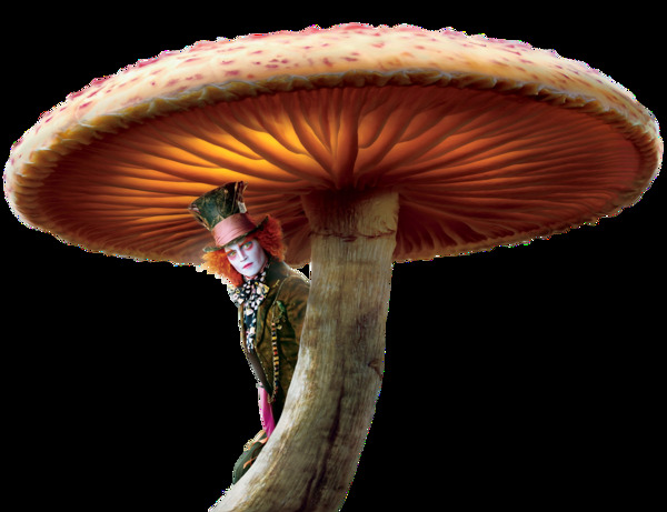 童话世界蘑菇装饰图