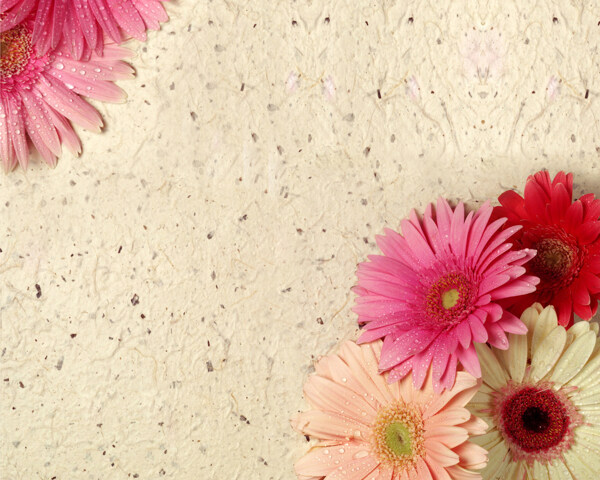 花卉石纹背景墙