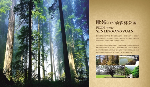 房地产宣传画册内页森林公园