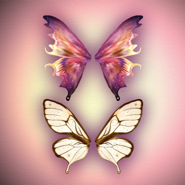 粉色蝴蝶翅膀素材