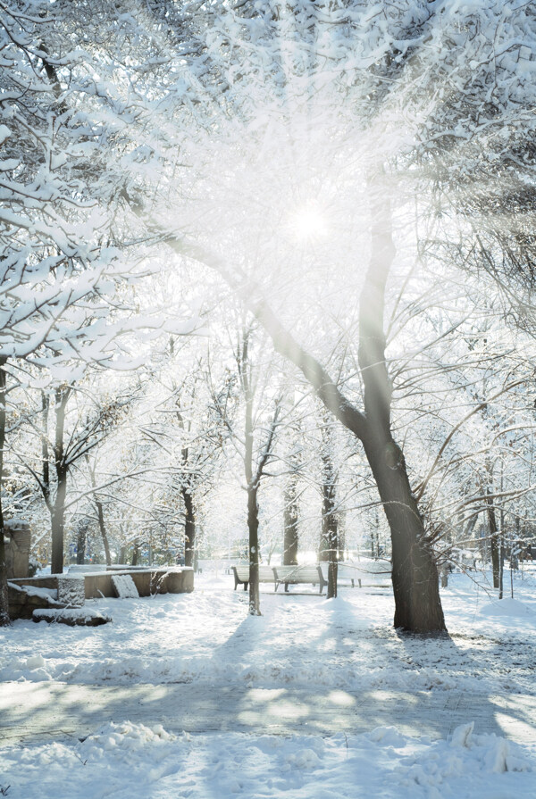 冬季雪景高清图片