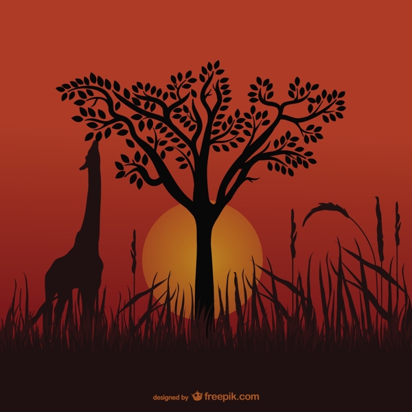 非洲的长颈鹿剪影