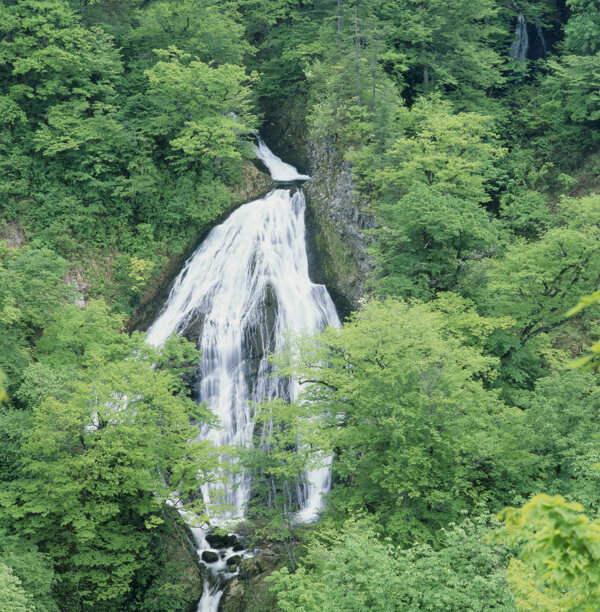 高山流水绿树景色图片