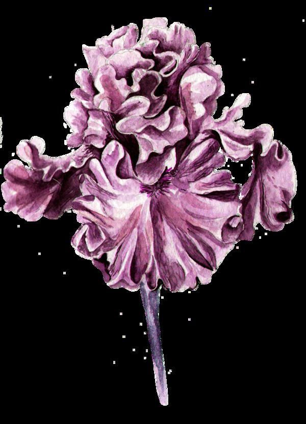 彩紫花蕊卡通透明素材