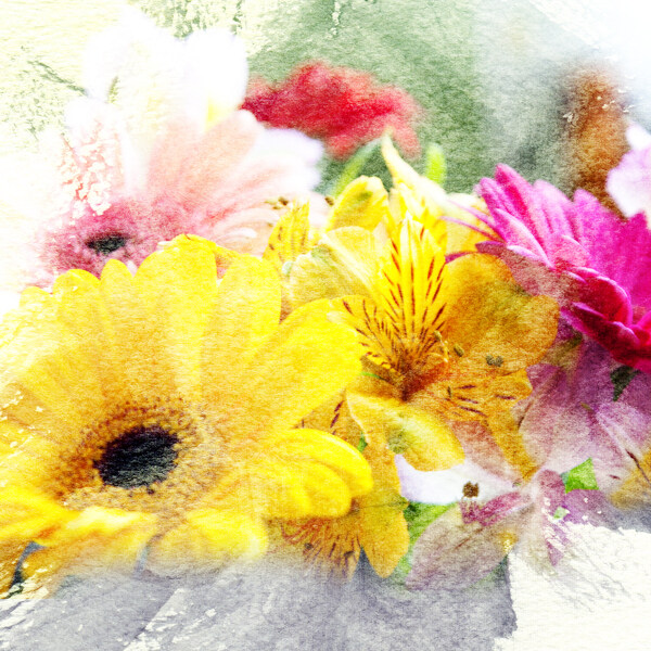 花卉油画背景图片