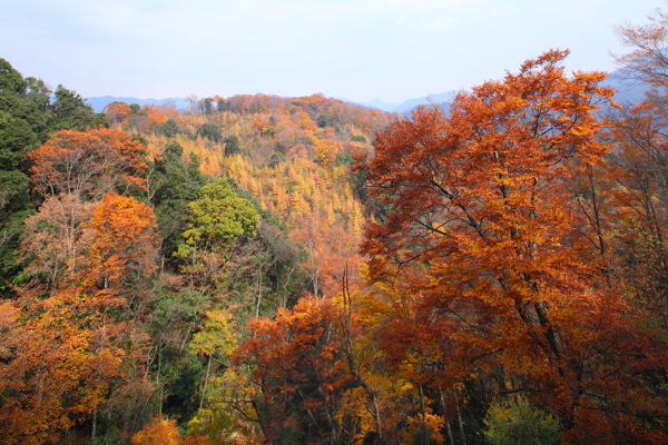 山水风光图片