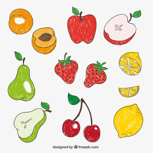 彩绘水果矢量图片