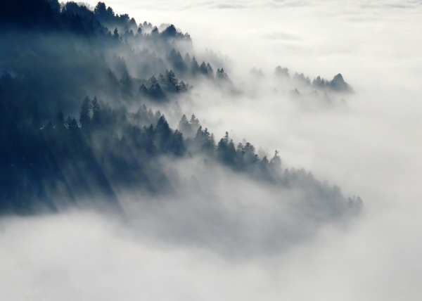 在雾里的山峰