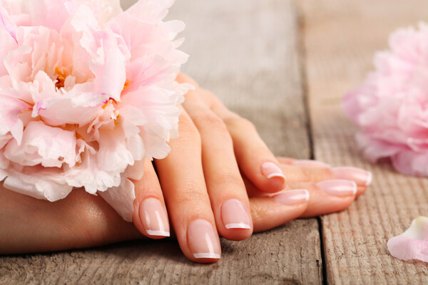 双手和粉色花朵图片