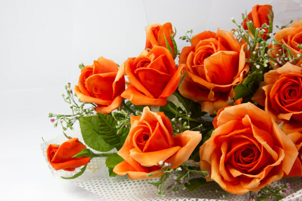 橙色玫瑰花装饰图片